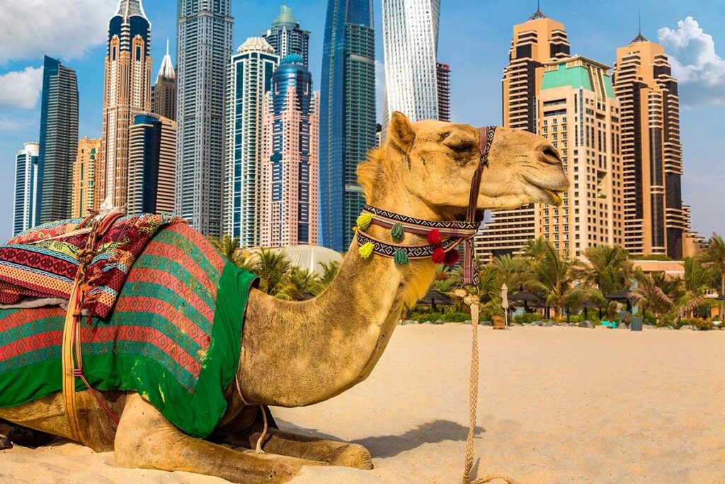 http://aboutdubaicity.com/