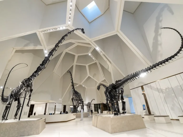 Natural History Museum Abu Dhabi